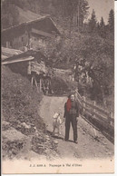 Suisse - Champéry - Paysage à Val D'Illiez Jj3088 Jullien Foulards Rouges Chevres Ziegen Goat - Champéry