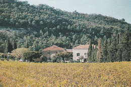 CPSM 84  MORMOIRON  DOMAINE DES ANGES STEPHENS - Mormoiron