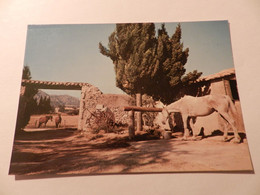 Oude Postkaart Van Frankrijk  --   Eygalieres  49 - Eyguieres