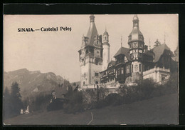 AK Sinaia, Castelul Peles - Romania