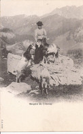 Suisse - Valais - Bergere De Chèvres Jj3102 Jullien Chevres Ziegen Goat - Sonstige & Ohne Zuordnung