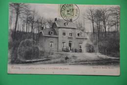 Roisin 1906: Le Châlet Du Garde Très Animée - Honnelles