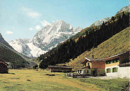 Austria > Tirol, Pinnisalm,  Neustift Im Stubaital, Bezirk Innsbruck-Land, Used 1967 - Neustift Im Stubaital