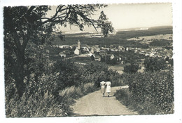 Remich Vue Générale ( Gelaufen AK ) - Remich