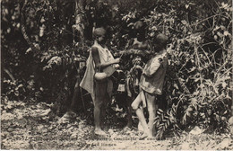 PC CUEILLETTE DU CAOURCHOUC FRENCH GUINEA ETHNIC TYPE (a28689) - Guinée