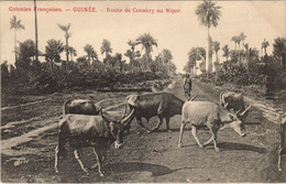 PC ROUTE DE CONAKRY AU NIGER FRENCH GUINEA ETHNIC TYPE (a28684) - Guinée