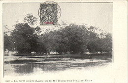 PC LAOS, LA FORÉT NOYÉE OU LE MÉ KONG AUX HAUTES, Vintage Postcard (b44706) - Laos