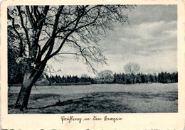 Frühling In Den Bergen (2089) - War 1939-45