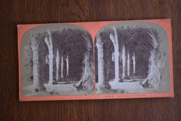 Photo Stereoscopic Stereoscopy - Souterrain De Chillon Switzerland - Visionneuses Stéréoscopiques