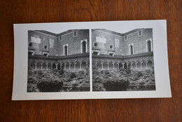 Photo Stereoscopic Stereoscopy - Pavia - Visionneuses Stéréoscopiques