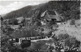 Bauernhaus Bei HORNBERG - Hornberg