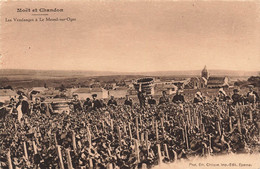 CPA Vignes - Vendanges - Les Vendanges A Le Mesnil Sur Oger - Moet Et Chandon - Tres Animé - Vigne