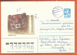 W.W.F. RUSSIE ENTIER POSTAL TIGRE DE 1988 - Lettres & Documents