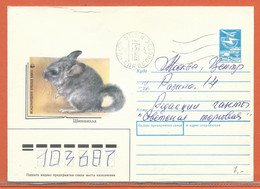 W.W.F. RUSSIE ENTIER POSTAL CHINCHILLA DE 1988 - Lettres & Documents