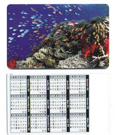 Mer  Poisson Carte Calendrier 1999 France Calendar - Sonstige & Ohne Zuordnung