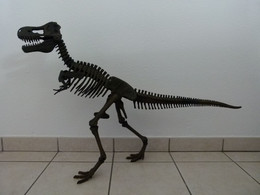 Tyrannosaure Rex Géant à Assembler. Dino Horizons. Buki Prehistoire. Approx 100 Cm X 65 Cm X 22cm. Voir Photos - Andere & Zonder Classificatie