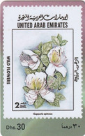 U.A.E. - Stamp, Wild Flowers(reverse 1), Etisalat Prepaid Card Dhs 30, Used - Francobolli & Monete