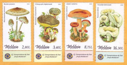 2022  Moldova Moldavie  Mushrooms, Plants, 1v Mint - Mushrooms