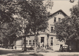 D-15537 Grünheide - Alt-Buchhorst - Gaststätte Am Möllensee - Car - Wartburg Kombi ( Echt Foto) - Grünheide