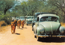 GF-Afrika-Afrique-Stamp Rhodesia And Nyasaland-Lion Parade-VOITURE-AUTO-AUTOMOBILE-VOLKSWAGEN-COCCINELLE-GRAND FORMAT - Sin Clasificación
