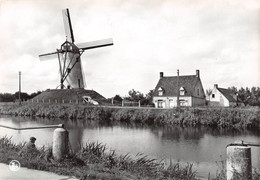 CPM - DAMME - De Molen - Le Moulin. - Damme