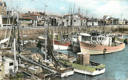 CROIX DE VIE - Le Port, Bateaux De Pêche. - Pêche