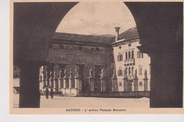 AGORDO  BELLUNO ANTICO PALAZZO MANZONI  NO VG - Treviso