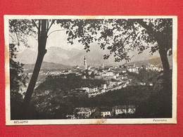 Cartolina - Belluno - Panorama - 1925 - Belluno