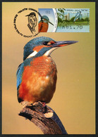 ISRAEL (2010) Carte Maximum Card ATM - Alcedo Atthis, Common Kingfisher, Martin-pêcheur, Eisvogel - Bird, Oiseau - Cartes-maximum