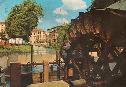 TREVISO - FIUME SILE - MULINO DELLA PESCHERIA - MIRAMARE - Treviso