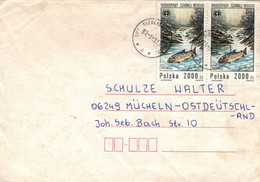 Siedliszcze 1993 Regenbogenforelle - Mef - Lettres & Documents