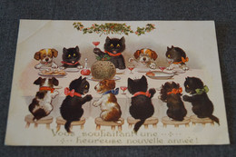 RARE,belle Carte Ancienne,Chats Et Chiens,Animalier,1920,originale - Katten