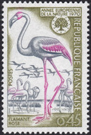 FRANCE, 1970, Flamant Rose ( Yvert 1634 ) - Flamingo's