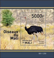 MALI 2022 SOUVENIR SHEET BLOC BLOCK BF S/S - OSTRICH AUTRUCHE AUTRUCHES - BIRDS OF MALI - OISEAUX DU MALI - RARE MNH - Autruches