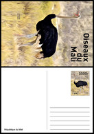 MALI 2022 STATIONERY CARD CARTE PREAFFRANCHIE - OSTRICH AUTRUCHE AUTRUCHES - BIRDS OF MALI OISEAUX DU MALI - RARE - Mali (1959-...)