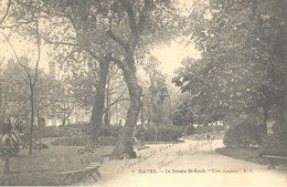 Le Havre - Le Square Saint-Roch - "Une Avenue" - Square Saint-Roch