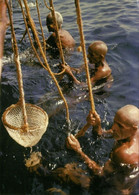 Bahrain, Native Pearl Diving, Jewelry (1980s) Postcard - Baharain