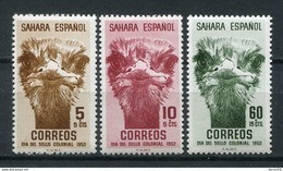 Sahara 1952. Edifil 98-100 ** MNH. - Sahara Español