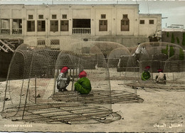 Bahrain, Fishtrap Makers, Fishing (1960s) Tinted RPPC Shakib No. 3 Postcard - Bahrain