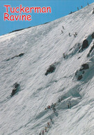 Tuckerman's Ravine, Mount Washington, White Mountains, New Hampshire - White Mountains