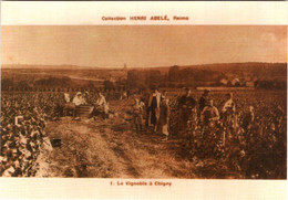 CPM 51 (Marne) Reims - Coll. CHAMPAGNE Henri ABELE 1757, 4e Série N°1. Le Vignoble à Chigny TBE Vignes, Vendanges, Pub - Vignes