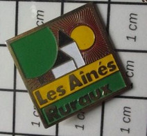 1010 Pin's Pins / Beau Et Rare / ASSOCIATIONS / VILLAGE EGLISE LES AINES RURAUX - Associations