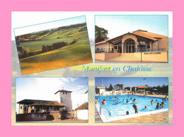 CPM MONTFORT EN CHALOSSE Multi-vues - Montfort En Chalosse