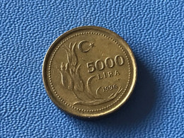 Münze Münzen Umlaufmünze Türkei 5000 Lire 1996 - Turkey