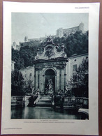 Stampa Del 1929 Salisburgo Fontana Capitolo Monumento Mozart Mirabello Orsoline - Unclassified