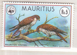 Mauritius 1978, Postfris MNH, Birds - Mauricio (1968-...)