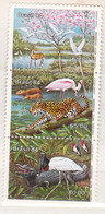 Brazilië 1984, Postfris MNH, Birds - Nuevos