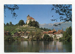 AK 079362 SWITZERLAND - Werdenberg Bei Buchs Mit Schloss Und Alpstein - Buchs