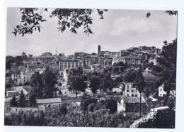 VELLETRI - PANORAMA - - 1930s  (12059) - Velletri