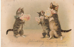 Chats Avec éventail  1900 - Perles - Gekleidete Tiere